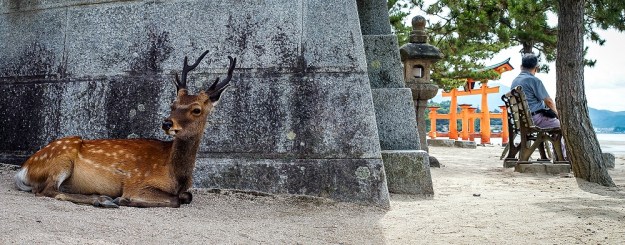 Biche Hiroshima