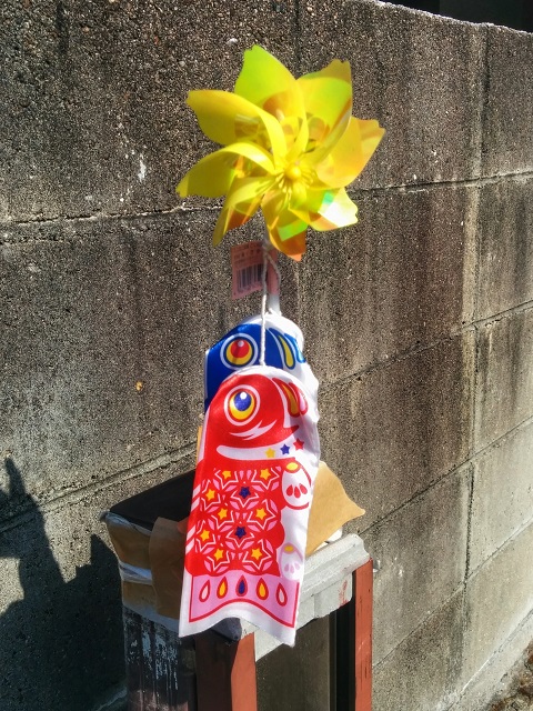 IMG_20140502_151504_1