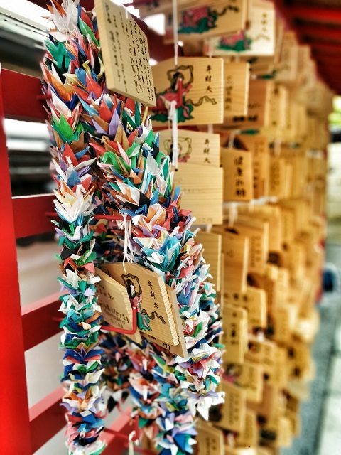 IMG_20140503_154126_1