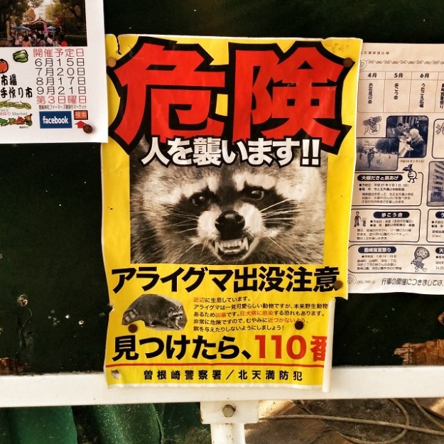 IMG_20140507_164157_1