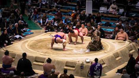 Tournoi de Sumo à Osaka, Japon.