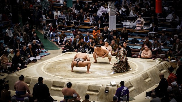 Tournoi de Sumo à Osaka, Japon.