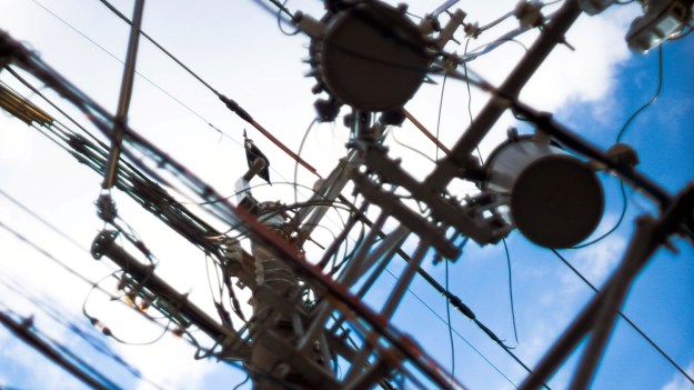 Japon, Osaka, corbeau