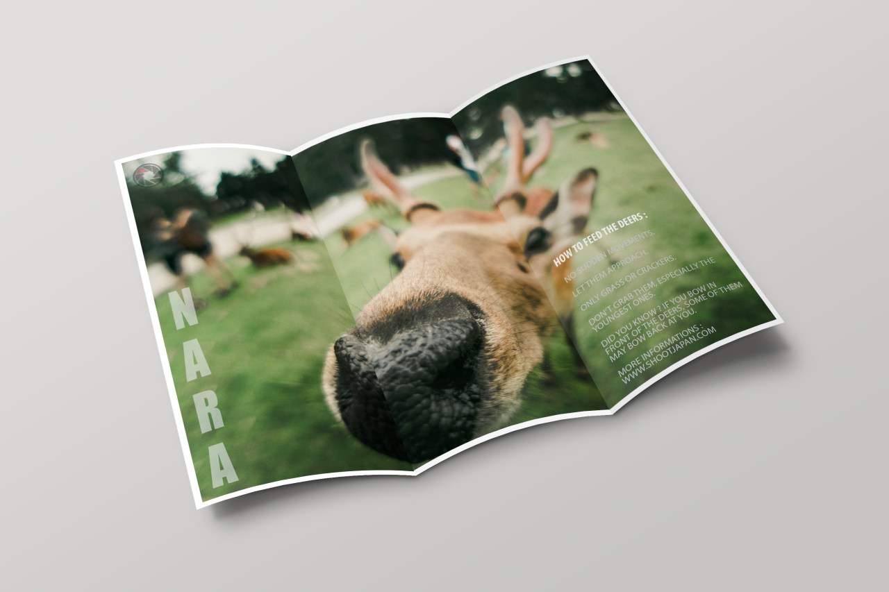 Osaka Nara Japon biches mockup