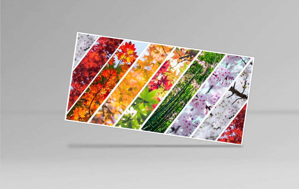 Le Japon est-il beau ?