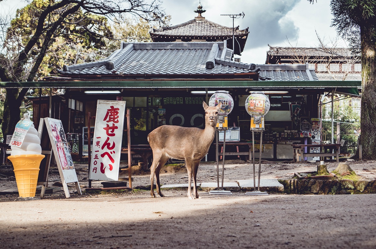 Nara Japan