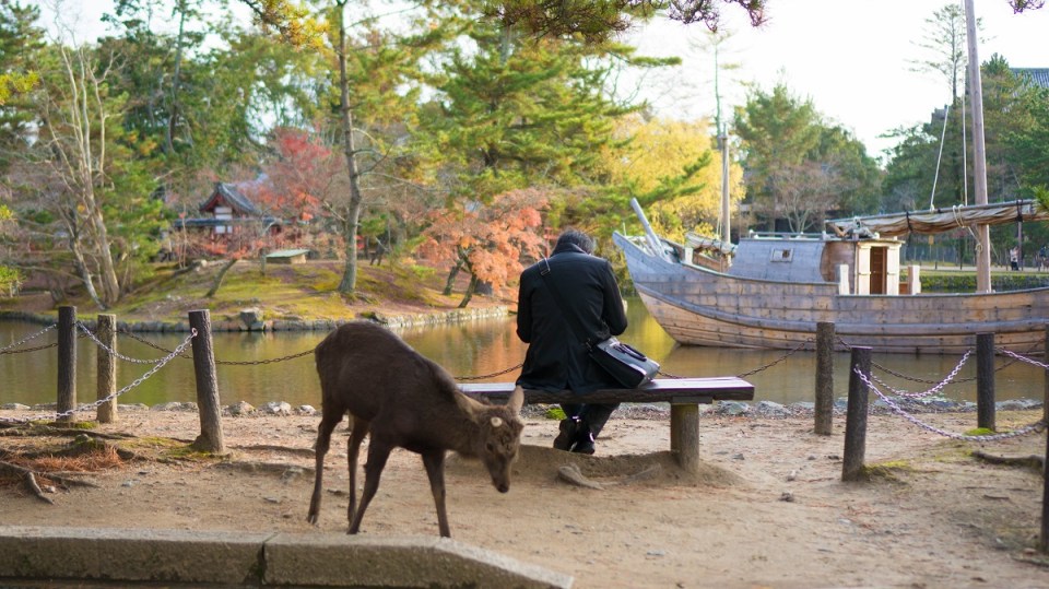 Nara Japan