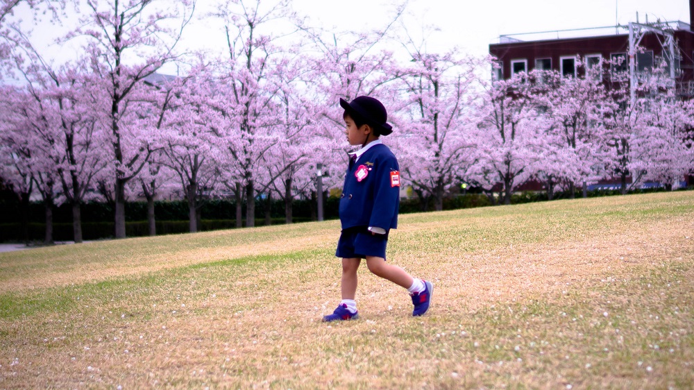 Osaka cerisiers Japon